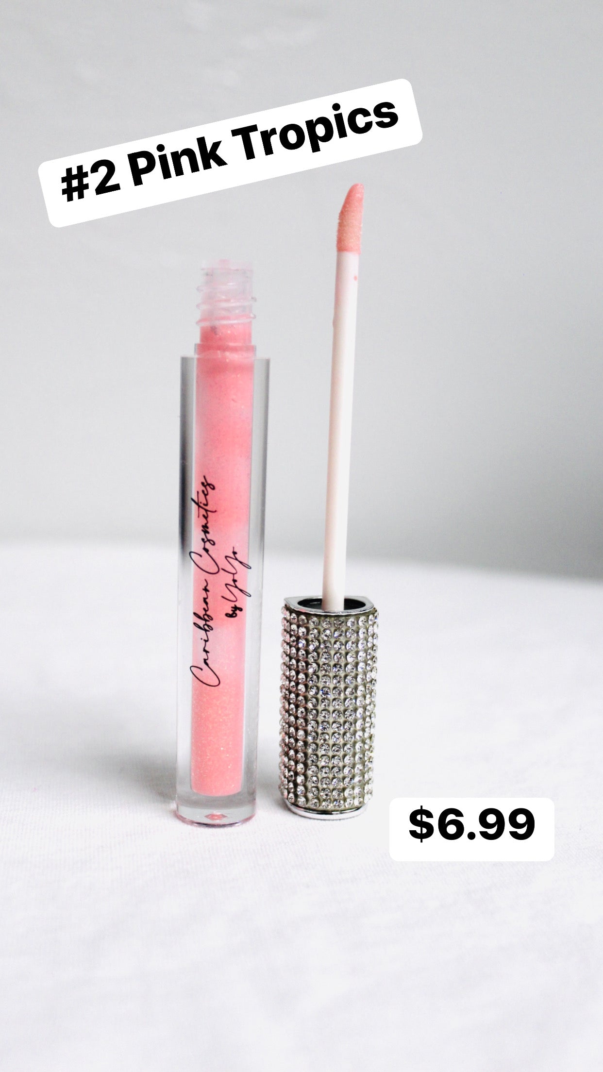 Pink Tropics Lipgloss