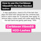 Island Dippers H2o lashes